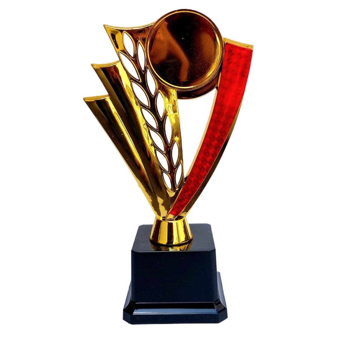 Award & medals
